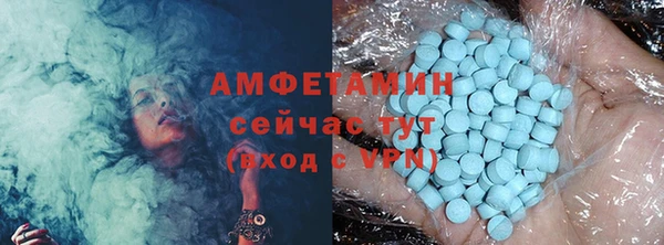 прущие грибы Аркадак