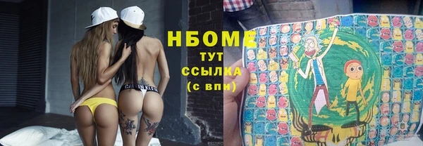 прущие грибы Аркадак