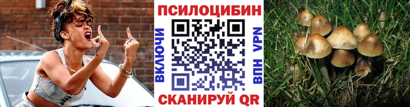 Галлюциногенные грибы GOLDEN TEACHER  где купить наркоту  Полысаево 